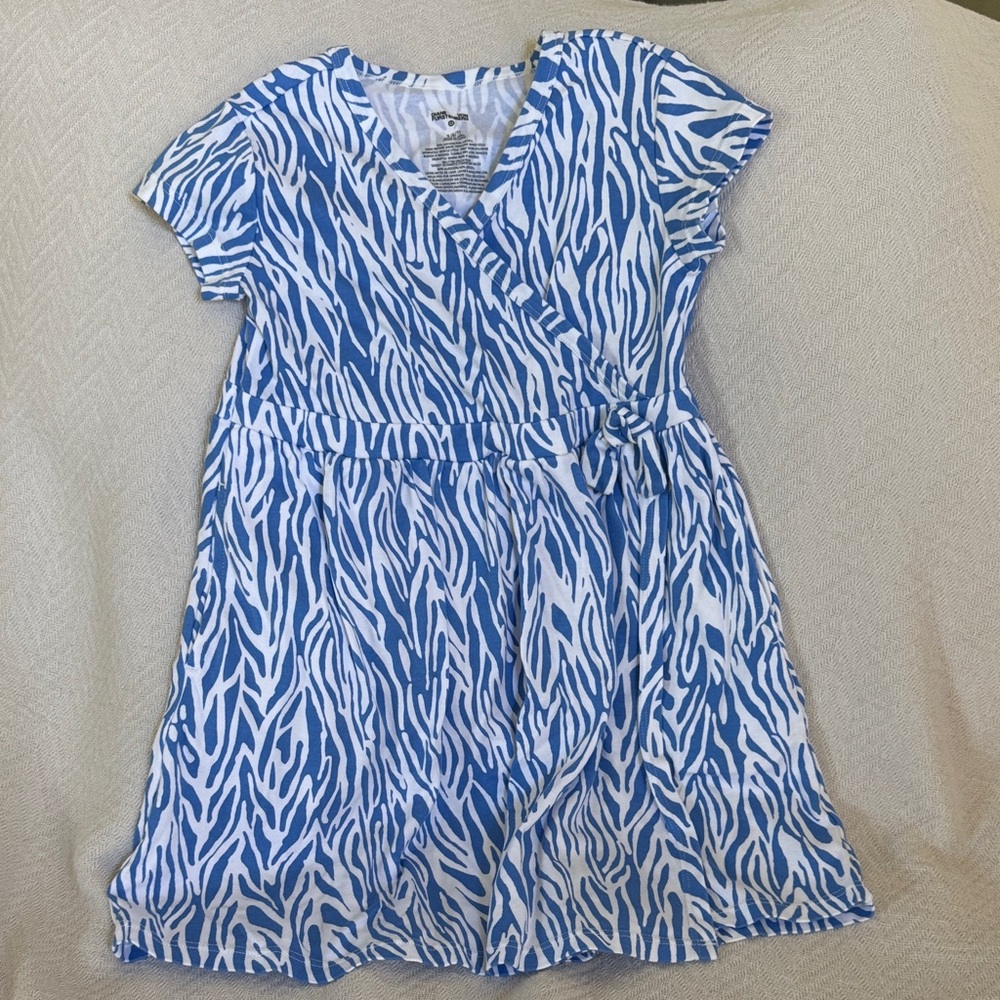 Blue and White Zebra Print Kids Dress